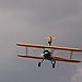 BucketList + Wing Walking = ✓
