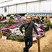 BucketList + Visit The Chelsea Flower Show = ✓