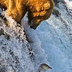 BucketList + Trek In Alaska = ✓