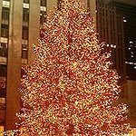 BucketList + Celebrate Christmas In New York. = ✓
