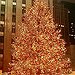 BucketList + Experience Christmas In New York ... = ✓