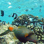BucketList + Scuba Dive In The Caribbean = ✓