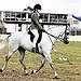 BucketList + Learn To Horseback Ride = ✓