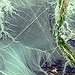 BucketList + Fly Over The Nazca Lines = ✓