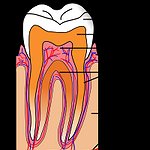 BucketList + Qualify As A Dental Hygienist = ✓