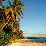 BucketList + Go To Turtle Island, Fiji, ... = ✓