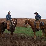 BucketList + Break In A Horse = ✓