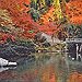 BucketList + See Kyoto In The Spring. = ✓