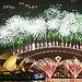 BucketList + Celebrate New Years Eve Abroad = ✓