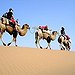 BucketList + Ride A Camel Into The ... = ✓