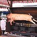 BucketList + Pig Roast = ✓