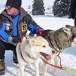 BucketList + Go Husky Sledging = ✓