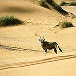 BucketList + Go Back To Namibia And ... = ✓
