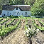 BucketList + Wine Tasting In Stellenbosch = ✓