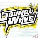 BucketList + Attend The Soundwave Festival = ✓