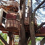 BucketList + Stay In A Treehouse Hotel = ✓