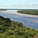 BucketList + Visit The Amazon Rainforest, South ... = ✓