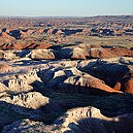 BucketList + Go To The Petrified Forest = ✓