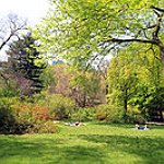 BucketList + Have A Picnic In Central ... = ✓
