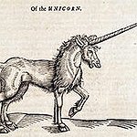 BucketList + Meet A Unicorn :) = ✓