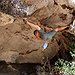 BucketList + Free Climb = ✓