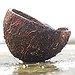 BucketList + Shave A Coconut = ✓