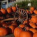 BucketList + Spend Halloween In America = ✓