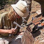 BucketList + Go On A Paleontology Dig = ✓