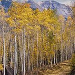 BucketList + Rave Run: Telluride, Colorado = ✓