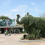 BucketList + Go To Zoo In Every ... = ✓