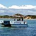 BucketList + Visit Penguin Island In Western ... = ✓