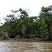 BucketList + Canoe Down The Amazon River = ✓