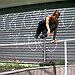 BucketList + Learn Parkour = ✓
