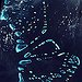 BucketList + Sea Of Stars In Vaadhoo ... = ✓