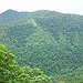 BucketList + See A Rainforest = ✓