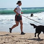 BucketList + Run All The Way Along ... = ✓