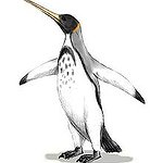 BucketList + I Want To See Penguins! ... = ✓