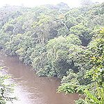 BucketList + Go Jungle Trekking In Rainforest = ✓