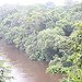 BucketList + Go Jungle Trekking In Rainforest = ✓