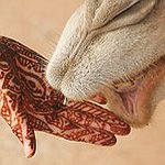 BucketList + Get Henna Done Professionally = ✓