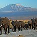 BucketList + Africa Travel: Destination: Kenya = ✓
