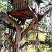 BucketList + Live In A Tree House = ✓