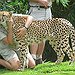 BucketList + Be A Zookeeper For A ... = ✓