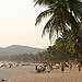 BucketList + Travel To Goa = ✓