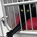 BucketList + Foster Animals = ✓