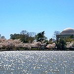 BucketList + Go To The National Cherry ... = ✓