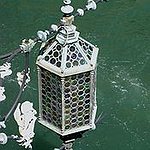 BucketList + Attend The Floating Lantern Ceremony = ✓