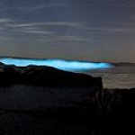 BucketList + See Bioluminescent Waters = ✓