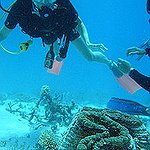 BucketList + Dive The Great Barrier Reef = ✓