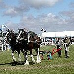 BucketList + See Royal Cornwall Show = ✓